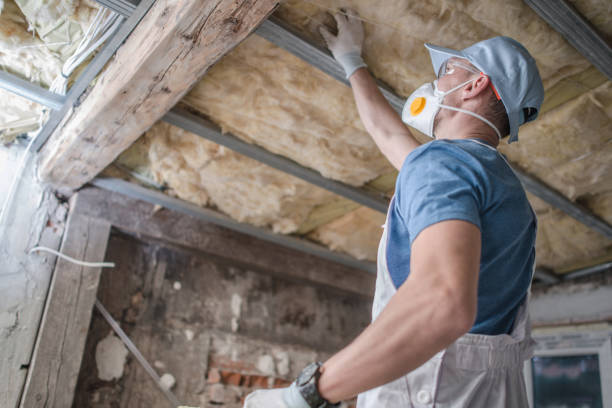 Best Insulation Installation Services in Urbandale, IA